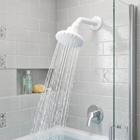 Deluxe Wall Shower